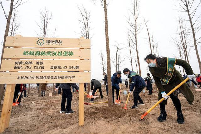 武汉抗疫纪念林落户长江岸边