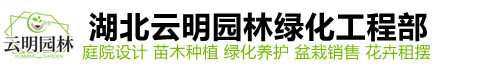 湖北云明园林绿化工程部